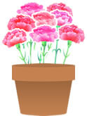 秋口になるとまた花が咲きます